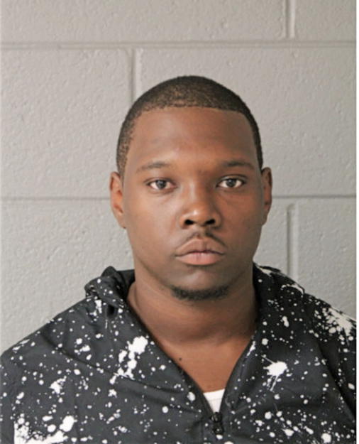 NICOLAS B JOHNSON, Cook County, Illinois