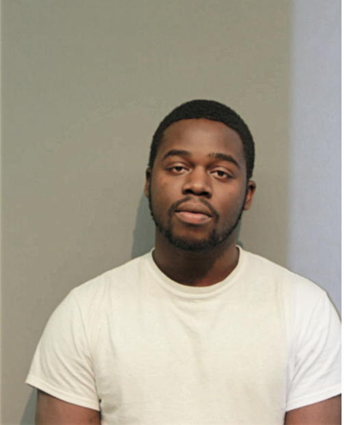JUSTIN M LEWIS, Cook County, Illinois