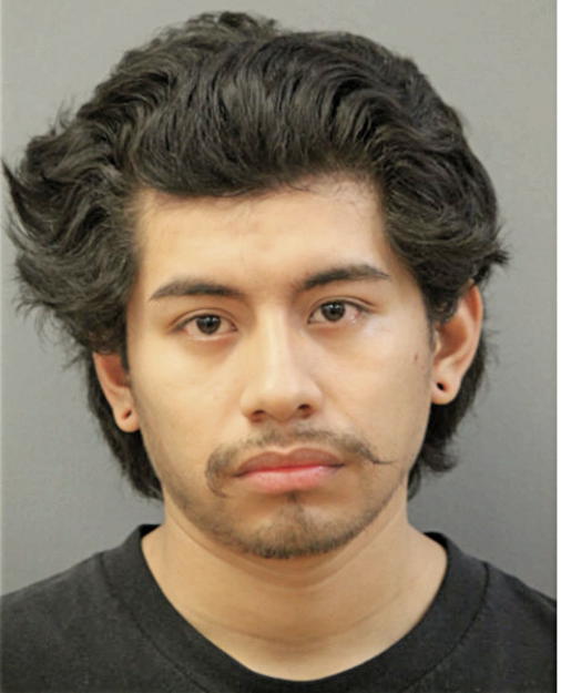 ALEJANDOR NAJERA, Cook County, Illinois