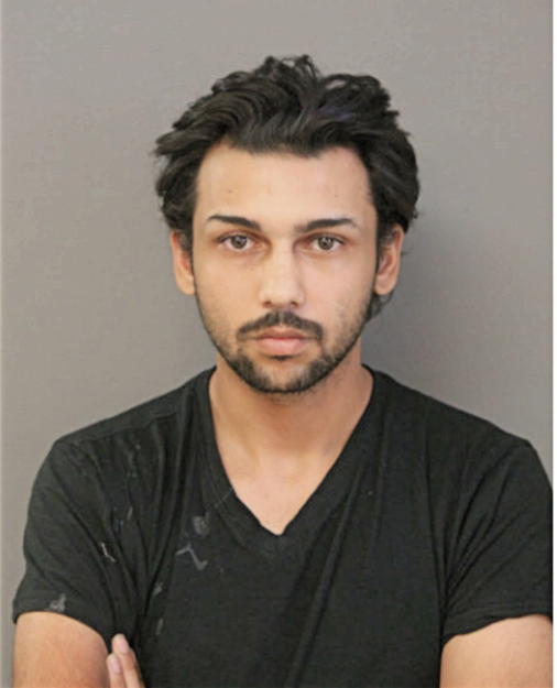 VINNIE NICHOLAS, Cook County, Illinois