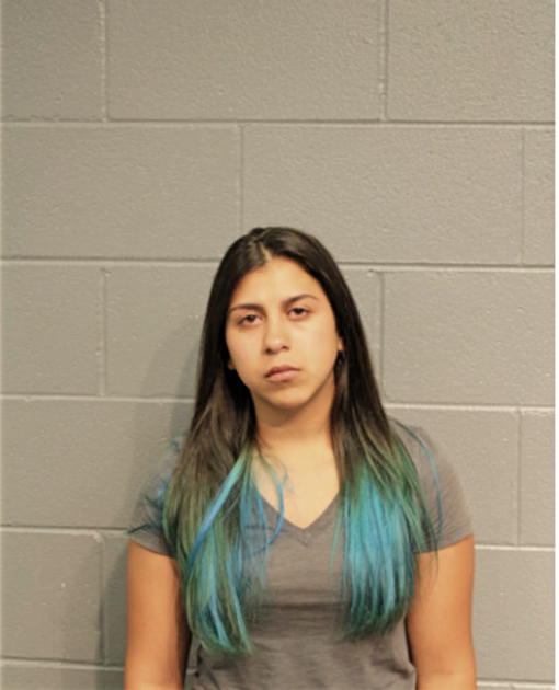 ANDREA M PEREZ, Cook County, Illinois