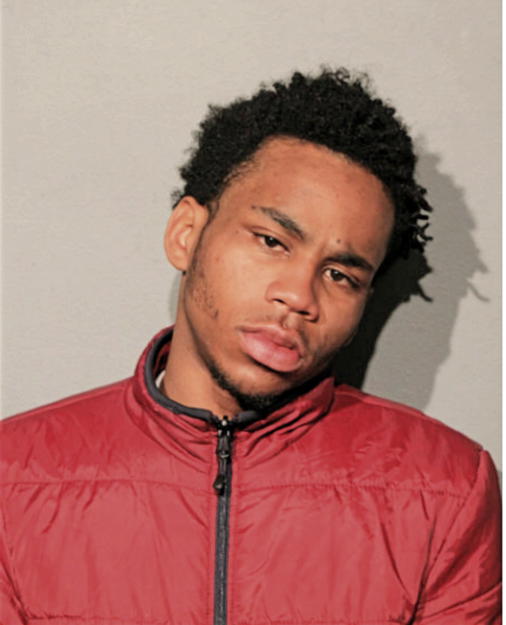 ERIC ROBERSON, Cook County, Illinois