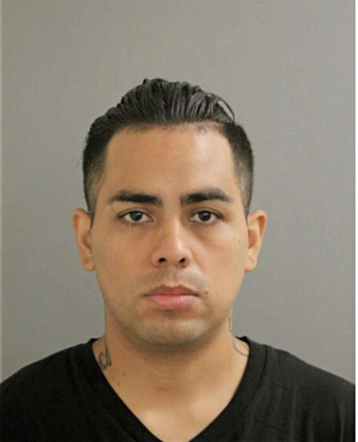 MISAEL SANTILLIAN, Cook County, Illinois