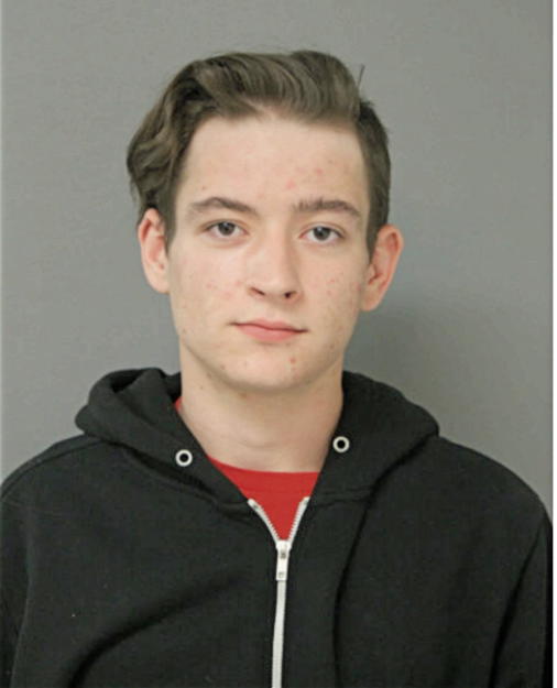HARRISON J STERLING, Cook County, Illinois