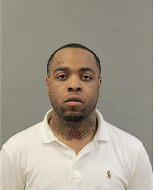 JAMES T RUFFIN, Cook County, Illinois