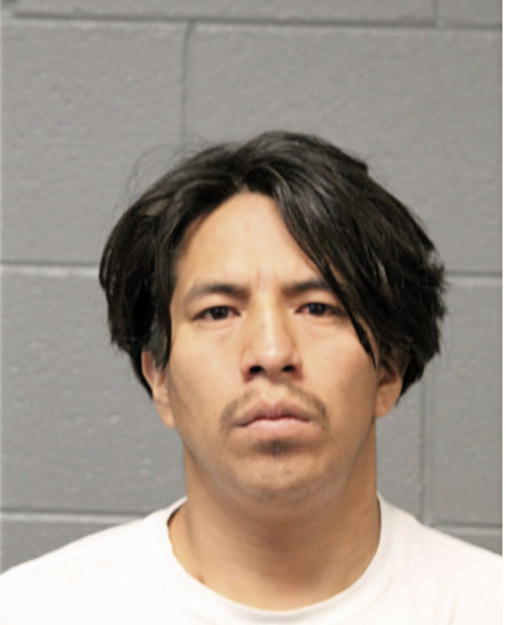 CARLOS R UCHO, Cook County, Illinois