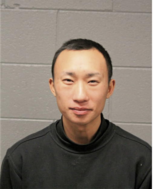 DAVID K VANG, Cook County, Illinois