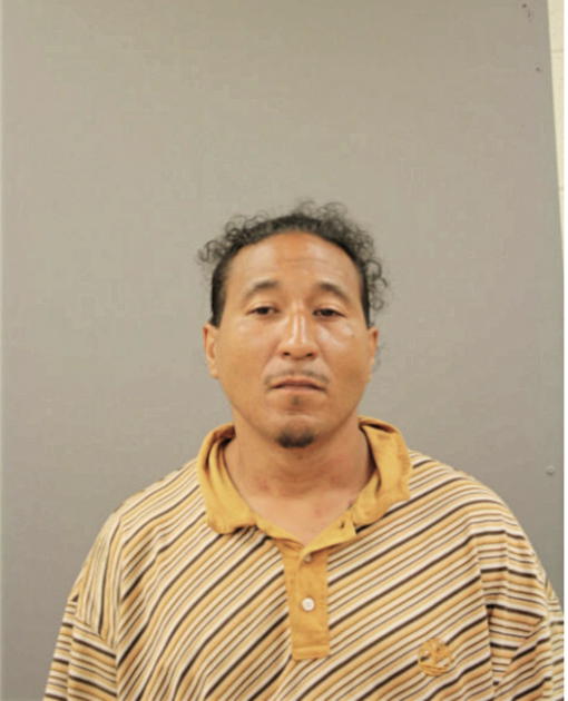 DANIEL VICENTE, Cook County, Illinois