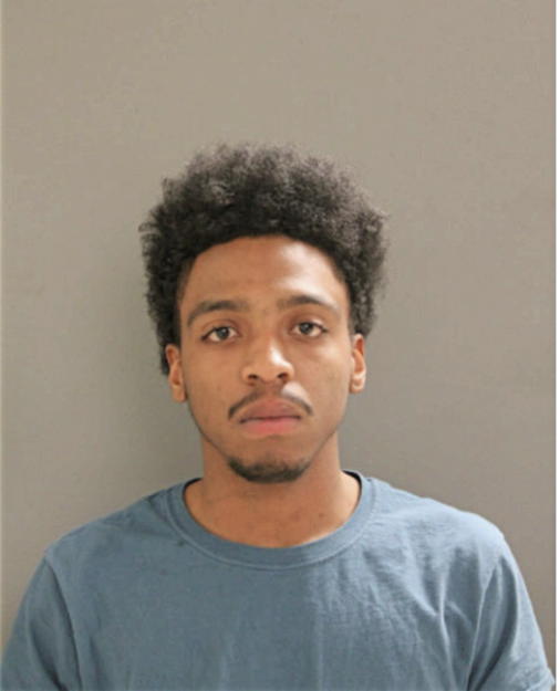 MICHAEL A ECHOLS, Cook County, Illinois