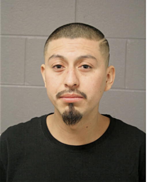 CARLOS GONZALEZ, Cook County, Illinois