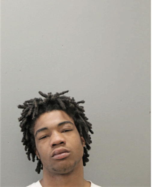 TERRANCE IVORY, Cook County, Illinois
