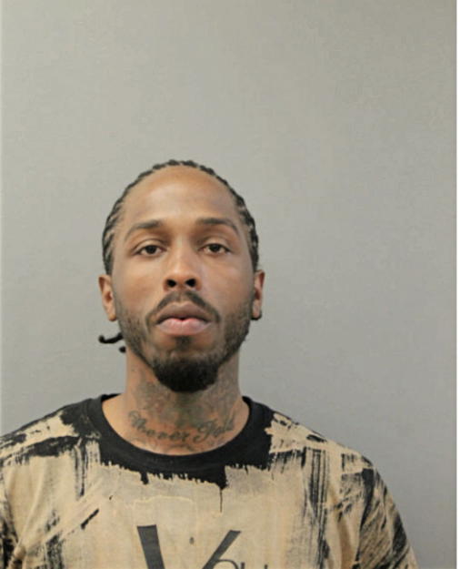 STEVON JAMES, Cook County, Illinois