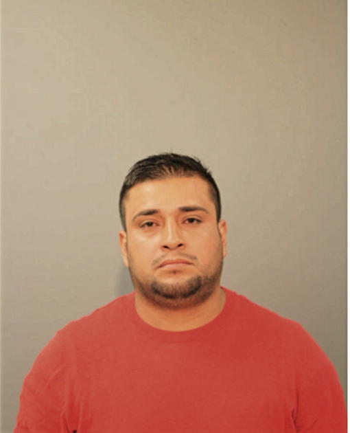 EDGAR GUSTAVO LAFEBRE-SISALIMA, Cook County, Illinois