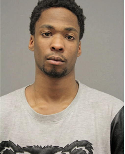DWAYNE M LIBERTY, Cook County, Illinois