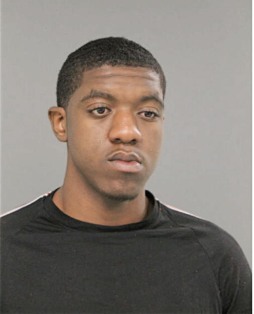 TYLER J MCABEE, Cook County, Illinois