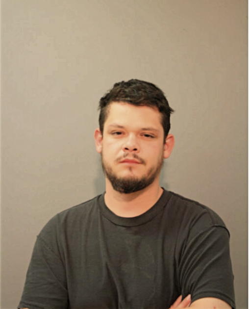 DEMETRIO MENDOZA, Cook County, Illinois