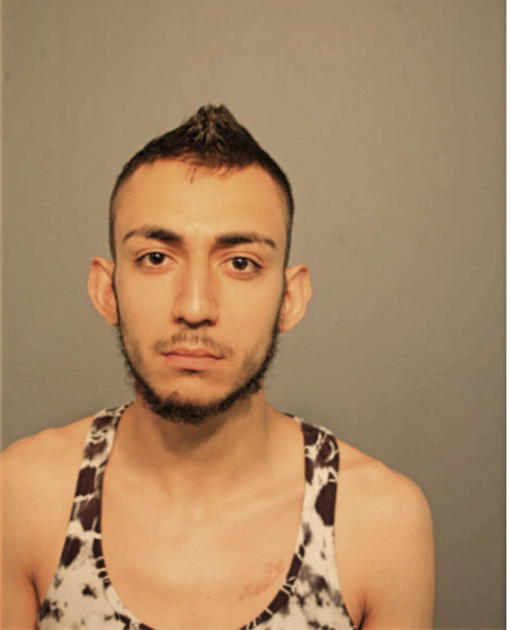 ALDO R OLVERA, Cook County, Illinois