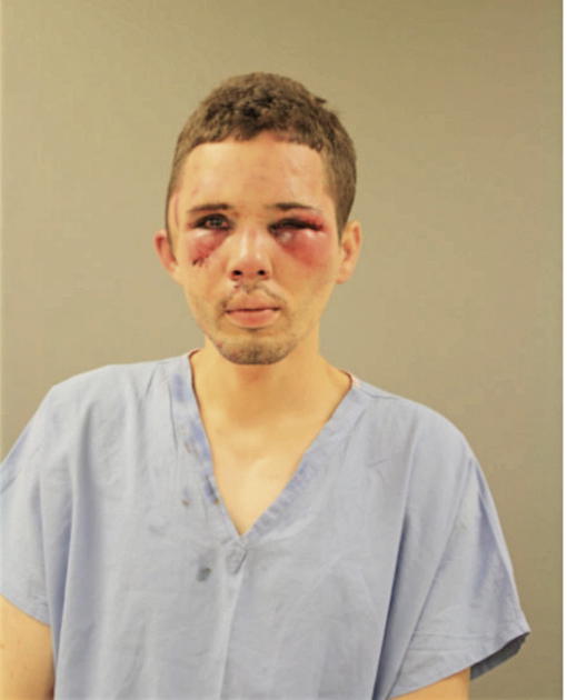 DWAYNE J PIERSON, Cook County, Illinois