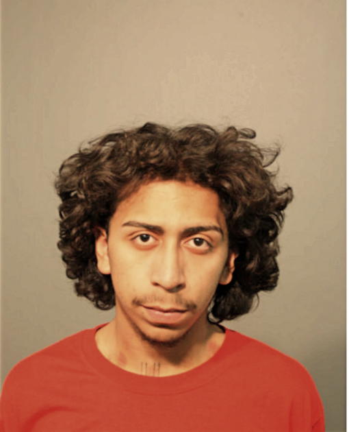 GEOVANI A RAMOS, Cook County, Illinois