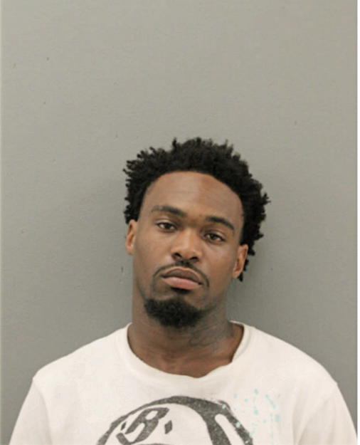 WYMAN J RAYE, Cook County, Illinois