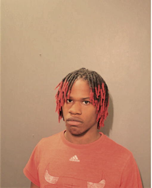 DEMETRIUS C REED, Cook County, Illinois