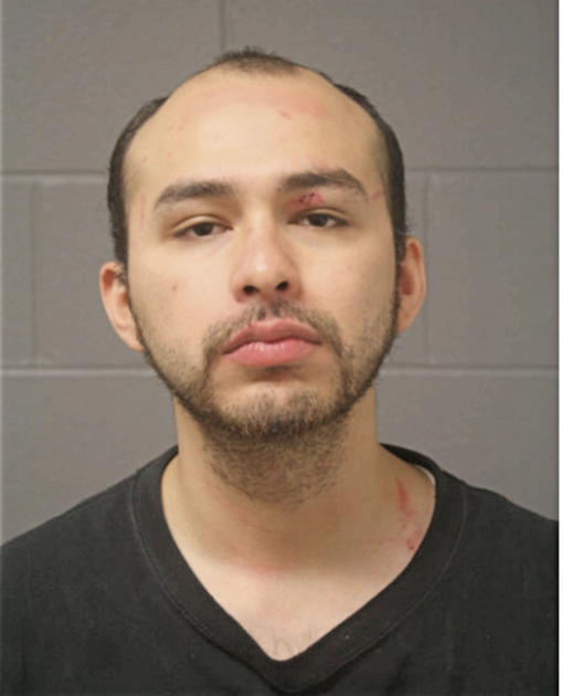 ALAN RUIZ, Cook County, Illinois