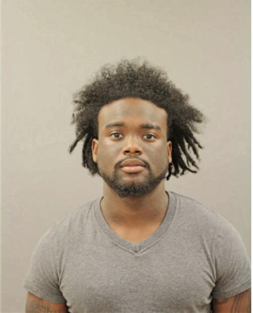 THADDEUS A SCOTT-CHEW, Cook County, Illinois
