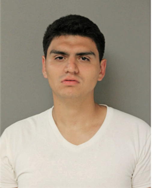 ISSAC TAVIZON, Cook County, Illinois