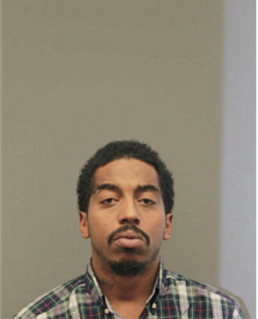 MICHAEL A WILLIAMS, Cook County, Illinois