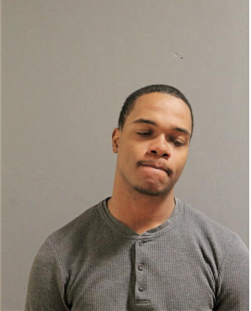 MIKHAEL J WILLIAMS, Cook County, Illinois