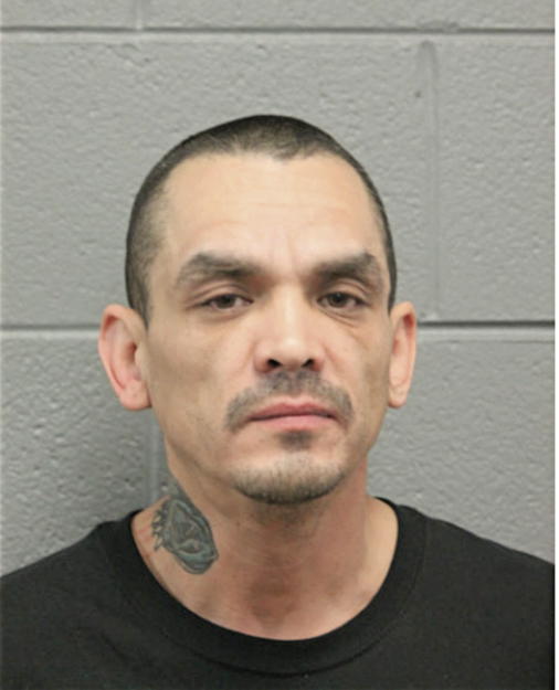 ANTHONY C WOODMAN, Cook County, Illinois