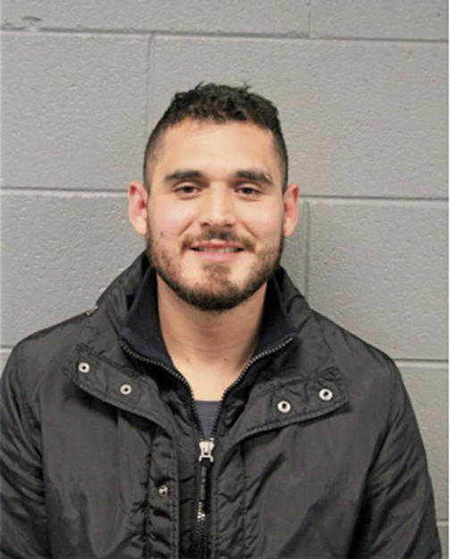 ANGEL A CARRILLO LEAL, Cook County, Illinois