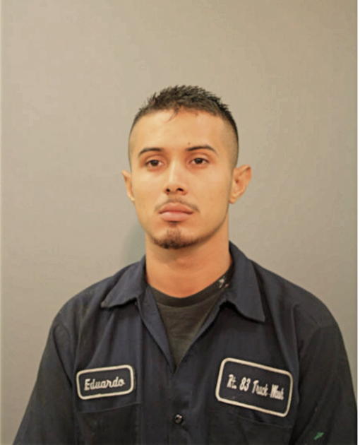 OMAR A DIAZ, Cook County, Illinois