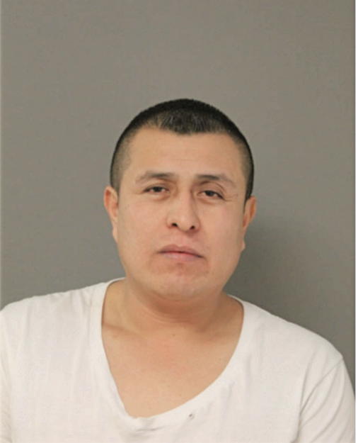 CARLOS ALAMILLA, Cook County, Illinois
