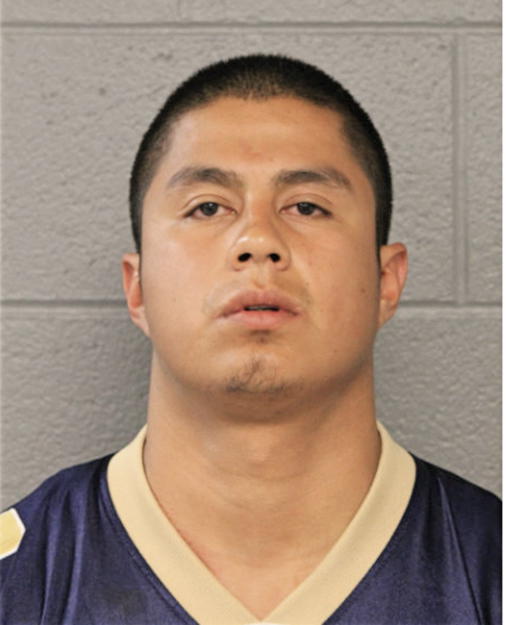 OMAR BERRONES, Cook County, Illinois