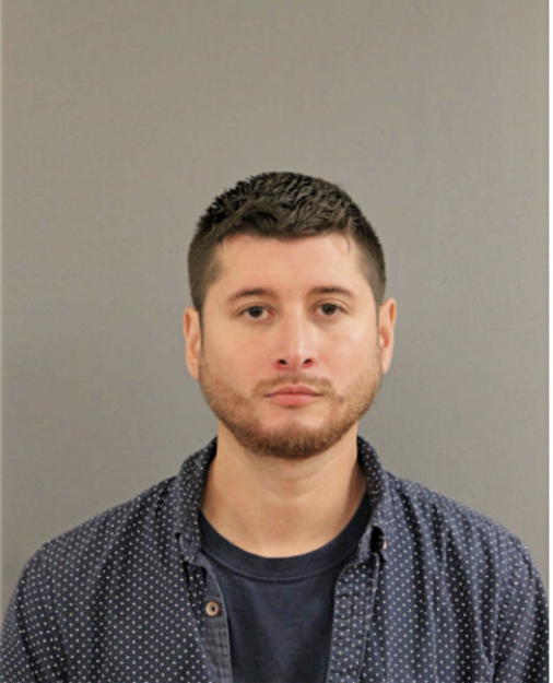 ERIK E DE LUNA, Cook County, Illinois