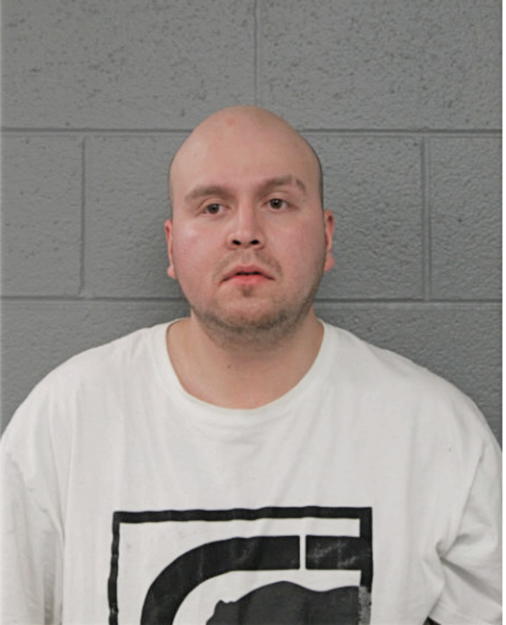 ERNESTO DIAZ, Cook County, Illinois