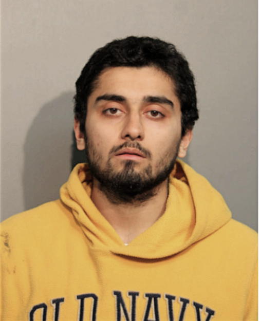 JAMEEL N GHOGHA, Cook County, Illinois