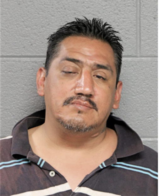 FRANCISCO J GONZALEZ, Cook County, Illinois
