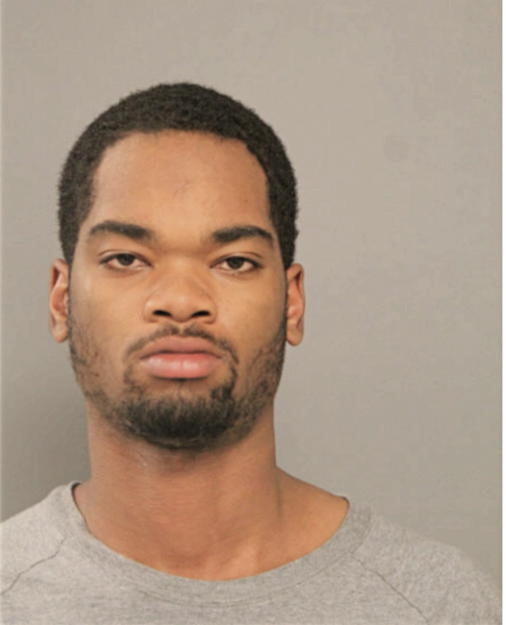 GLENN R HANKINS, Cook County, Illinois