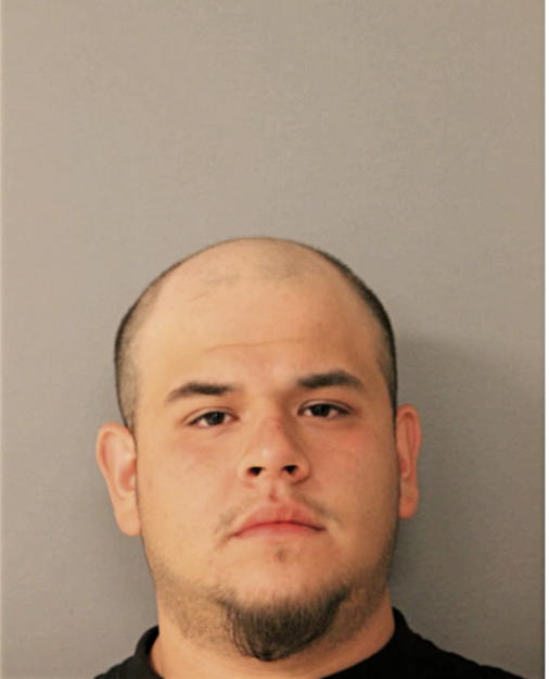 CAMERINO R HERNANDEZ, Cook County, Illinois