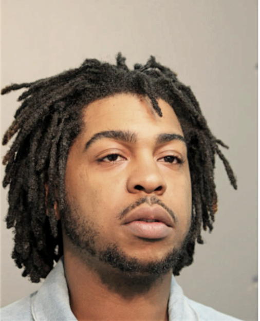 DIAMONDE D HOLTON, Cook County, Illinois