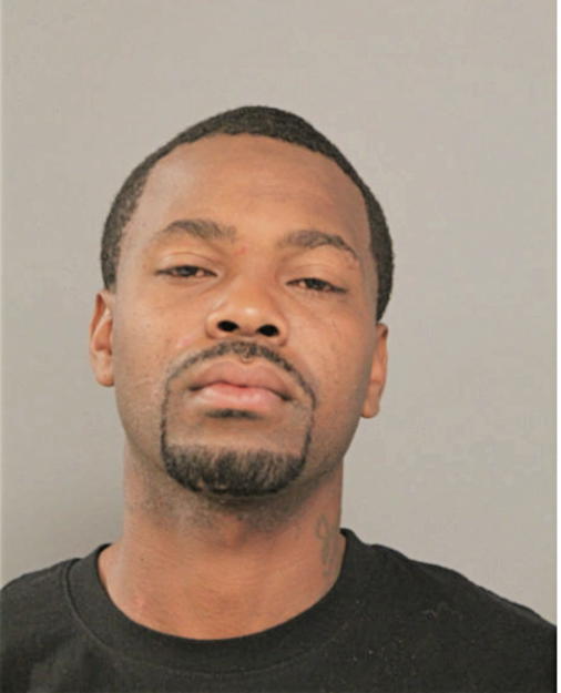 VERVON L JOHNSON, Cook County, Illinois