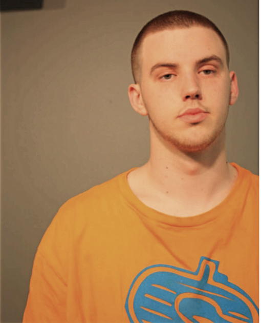 MICHAEL A KRIESEMINT, Cook County, Illinois