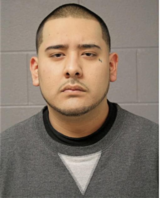 RAUL J LAGUNAS, Cook County, Illinois