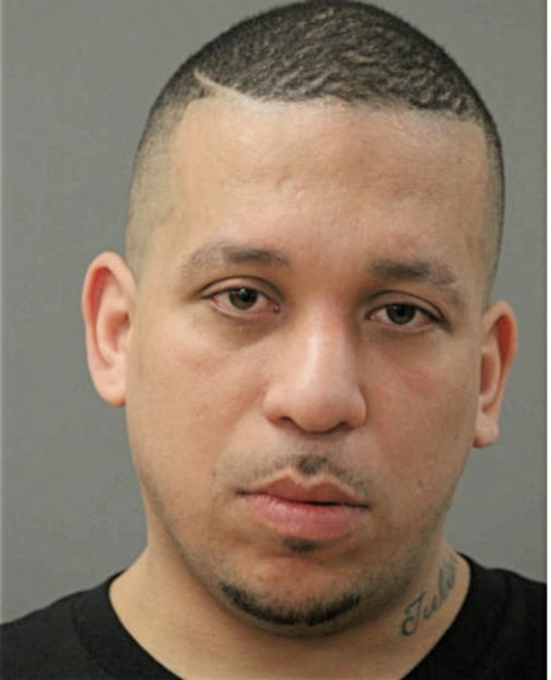 NELSON MARTINEZ, Cook County, Illinois