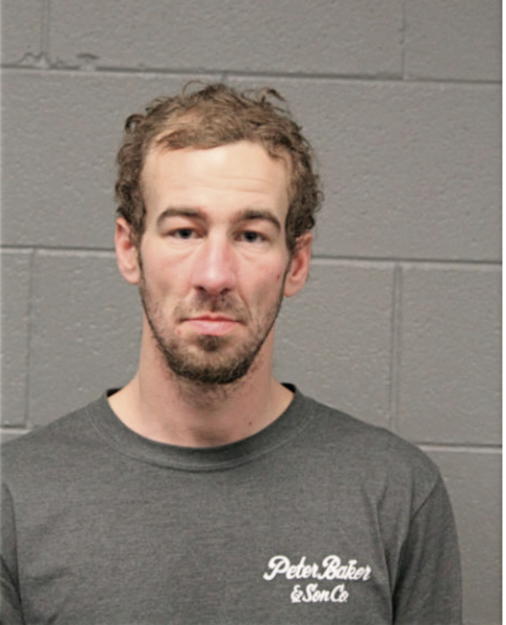 DOMINIC W MIDDONO, Cook County, Illinois