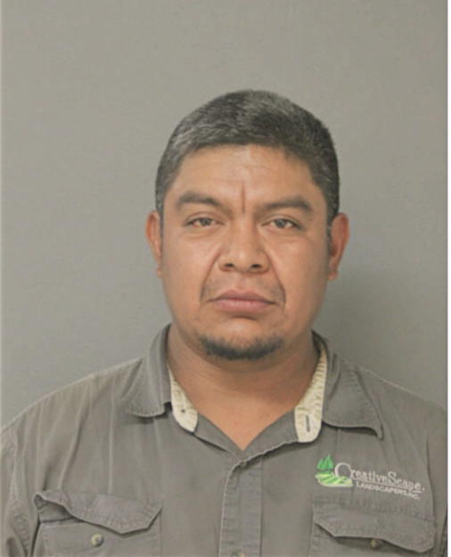 LUIS MORENO, Cook County, Illinois