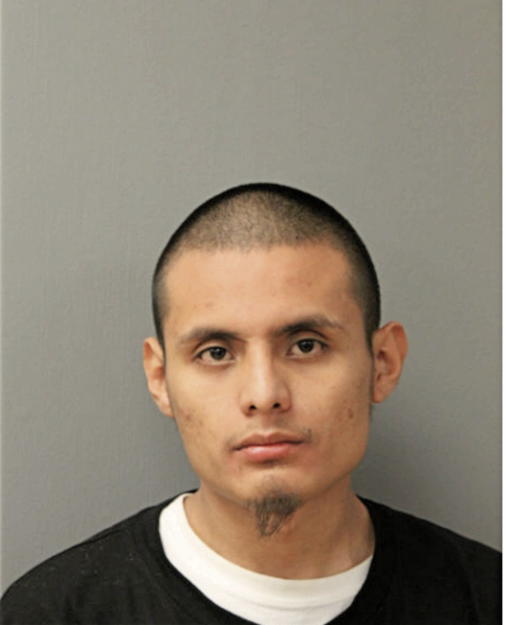 PABLO ORTIZ, Cook County, Illinois