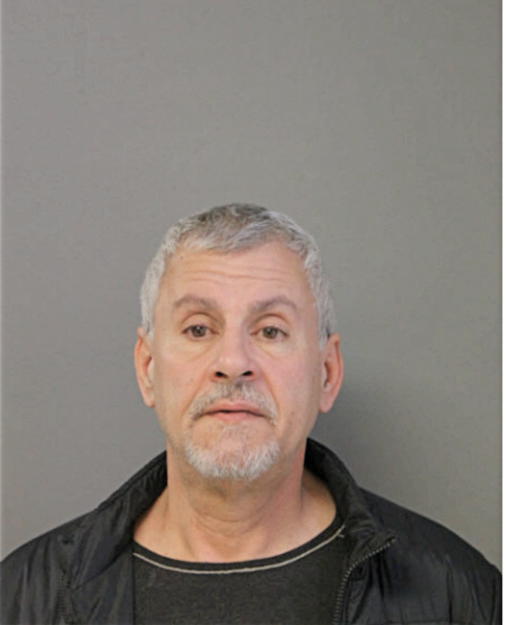 MICHAEL A STEFANI, Cook County, Illinois